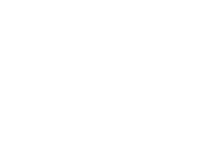 ACS Archives Logo