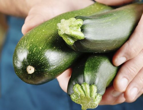 GOD EVEN CARES ABOUT ZUCCHINI