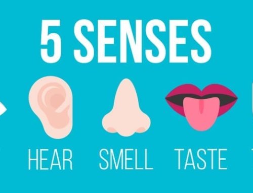 Growing Your Five Senses